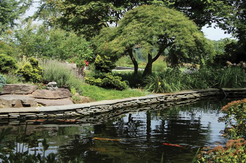 No fishing! Above a large, curved koi pond, a rock garden designed by Karen Offutt’s brother, Dr. Alex Jerome, includes sun-loving lavender, veronica, creeping phlox and succulents with nearby Golden Dwarf Hinoki cypress trees, daylilies and Gold Mound Japanese spirea across the pond.