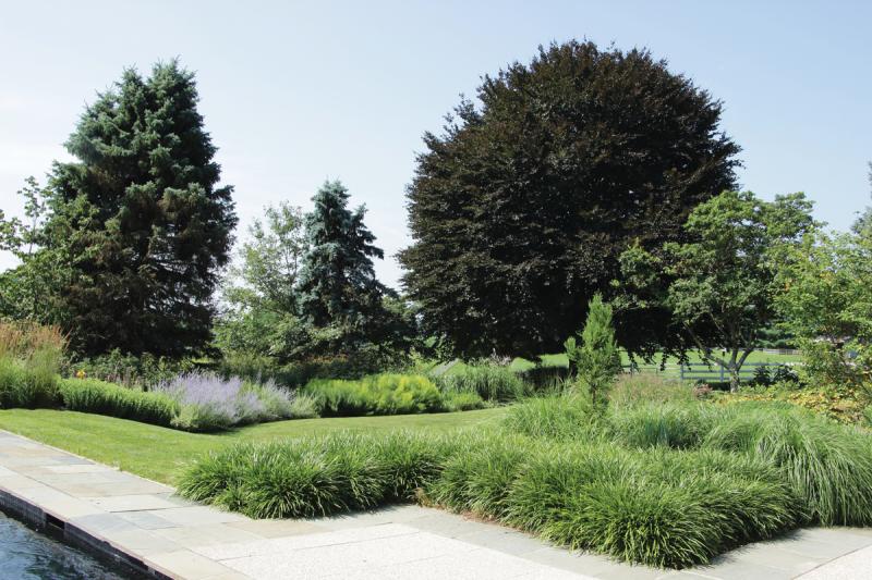 Evergreen and deciduous trees create a backdrop for textured layers of perennials and grasses.