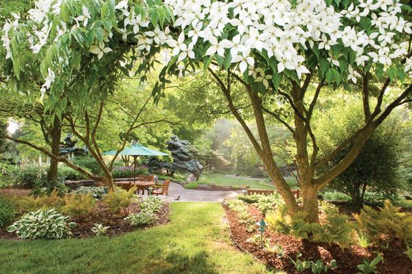 A series of gracious outdoor rooms includes intimate seating and dining areas. Variegated hostas (irresistible to neighborhood deer) and autumn ferns bring light and texture beneath a Kousa dogwood.