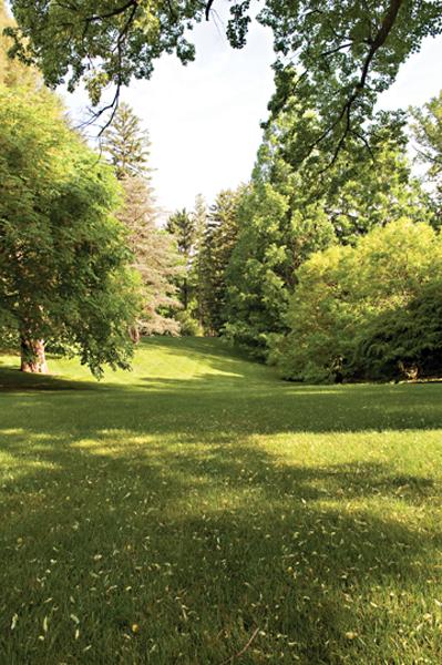 Dozens of mature trees, including a yellowwood planted by Floyd Lankford, surround and fill the rolling front lawn.